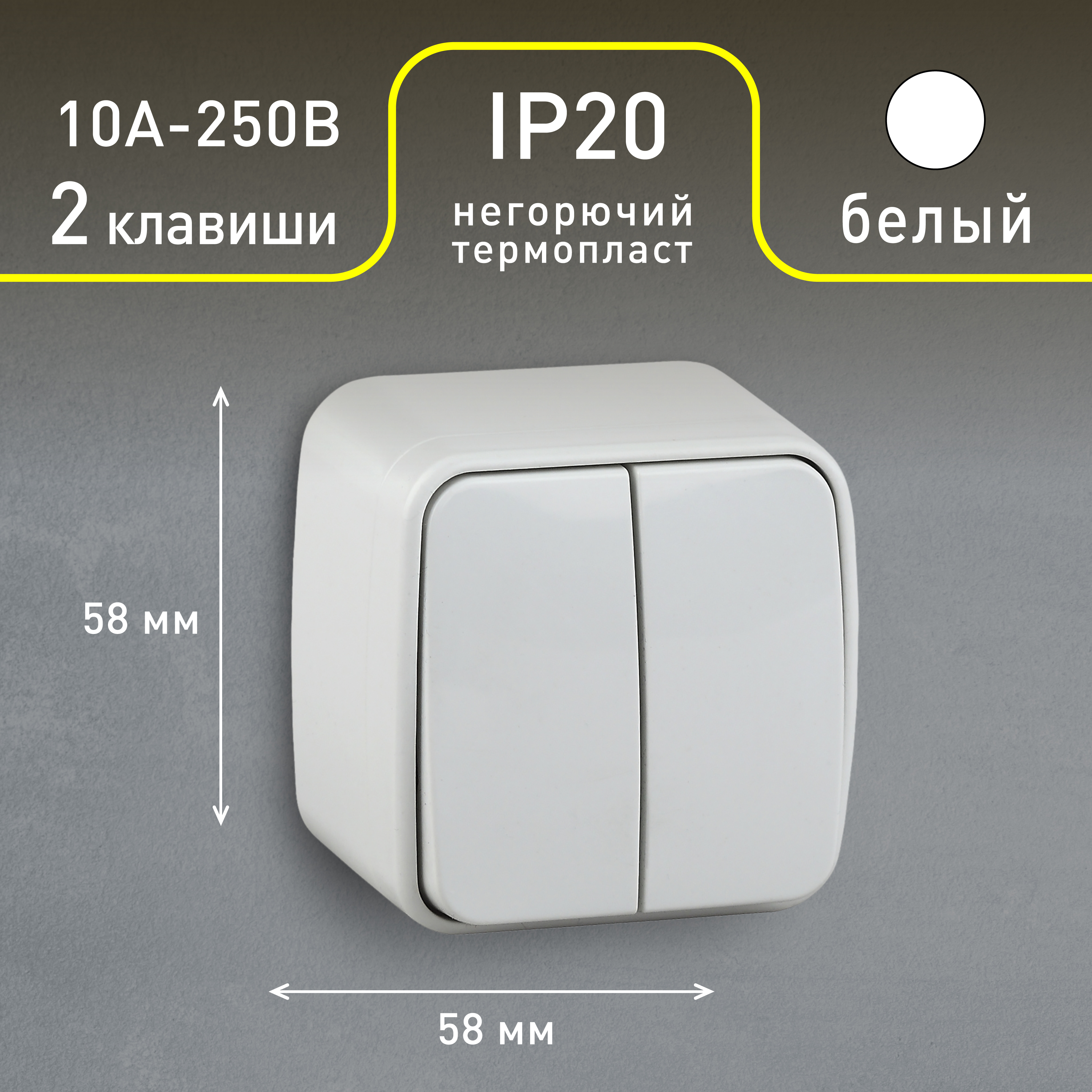 3-104-01 Intro Выключатель двойной, 10А-250В, IP20, ОУ, Polo, белый (18/360/4320)